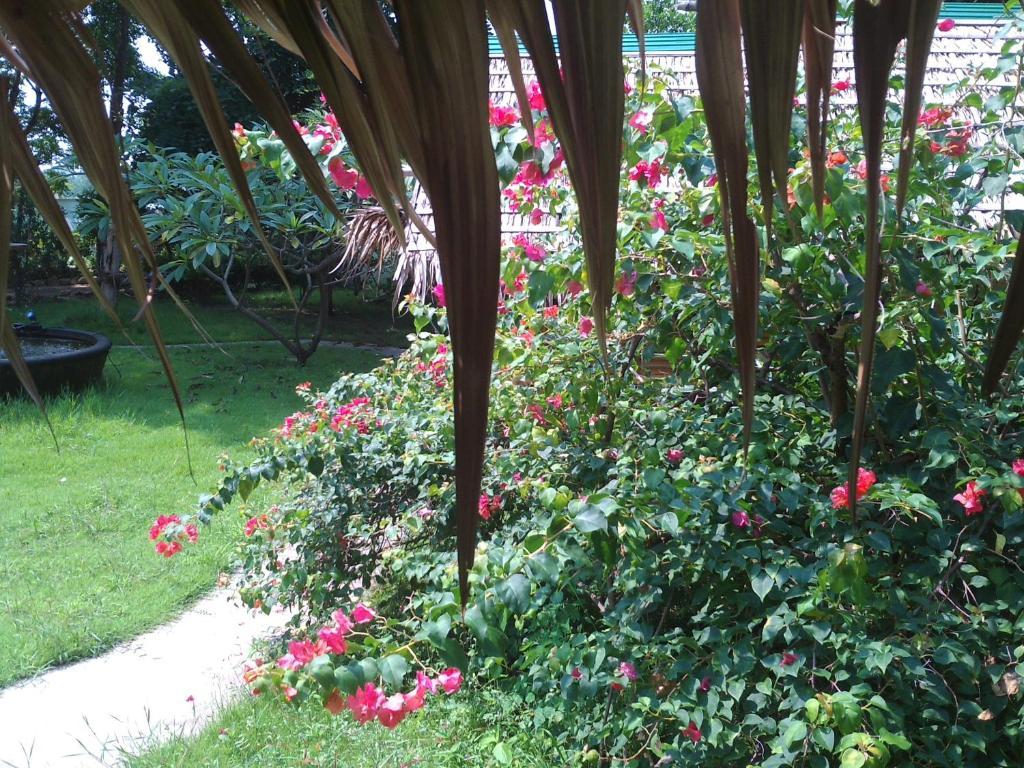 Ban Sabai Sabai Guest House Kanchanaburi Esterno foto